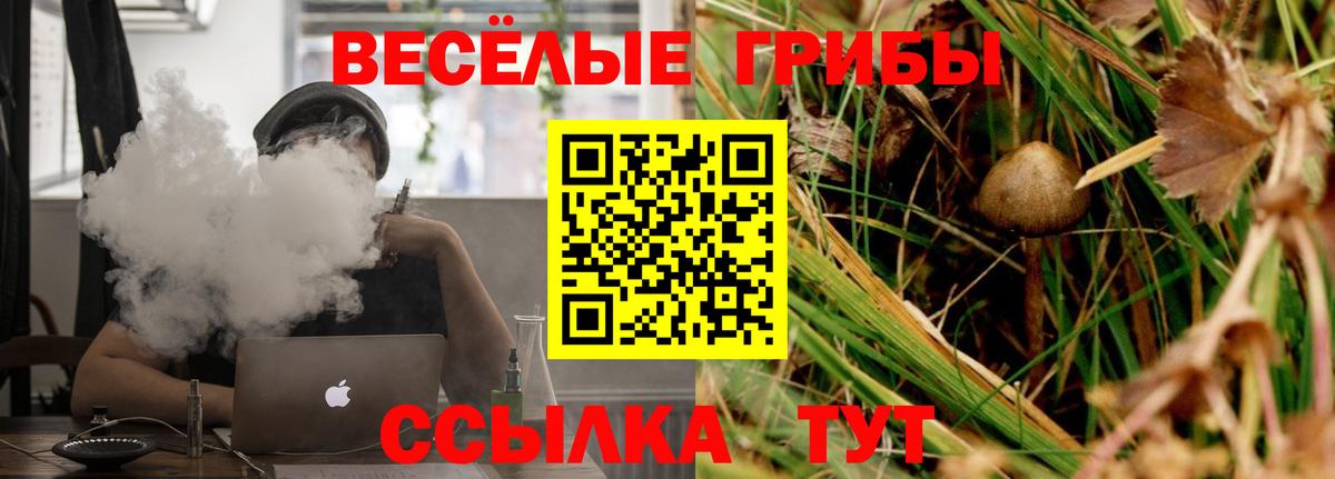 Котовск  Псилоцибиновые грибы Psilocybine cubensis  Галлюциногенные грибы прущие грибы  Вход с VPN 